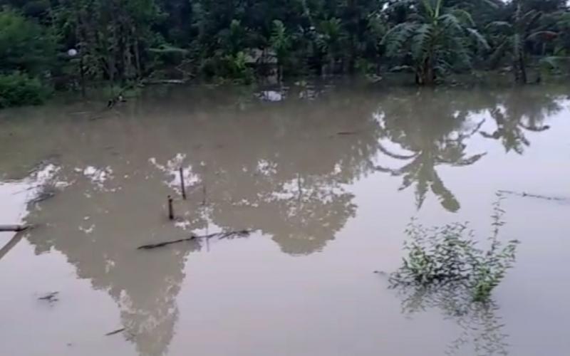 পাগলাদিয়া নদীৰ খহনীয়াত উছন বহু পৰিয়ালৰ ঘৰ-মাটি