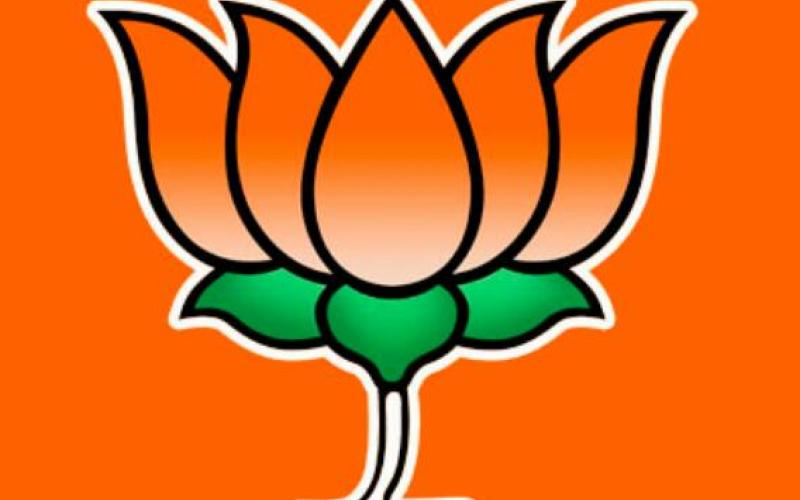 bjp12