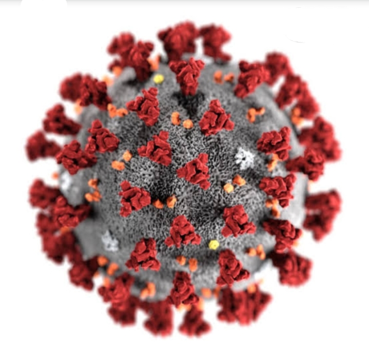 Coronavirus