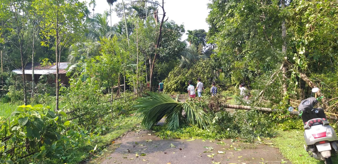 বা-মাৰলিত বিধ্বস্ত ঢেকীয়াল হালোৱা হাবিয়াল গাঁও