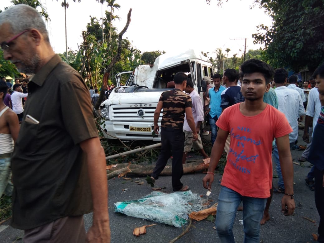 কলিয়াবৰত ট্ৰেভেলাৰৰ ওপৰত পৰিল গছৰ ডাল : ১জনৰ অৱস্থা সংকটজনক