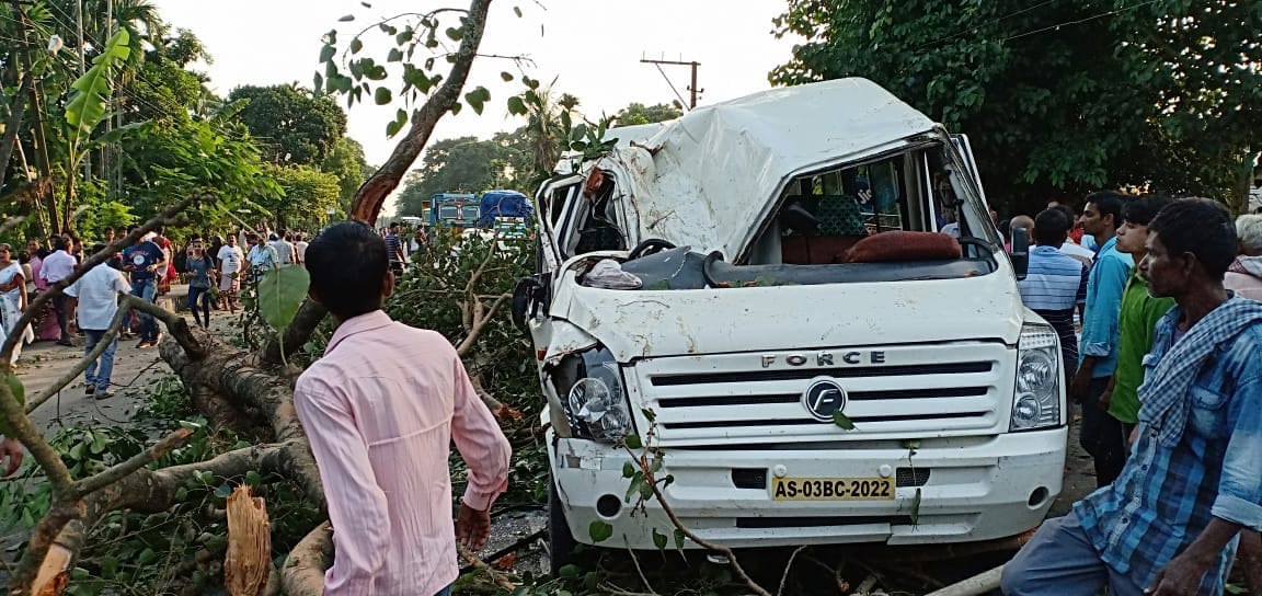 কলিয়াবৰত ট্ৰেভেলাৰৰ ওপৰত পৰিল গছৰ ডাল : ১জনৰ অৱস্থা সংকটজনক