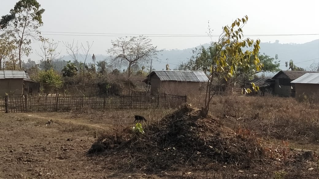 ৰক্ষণাবেক্ষণৰ অভাৱত ধ্বংস হৈছে নগাঁও জিলাৰ একাধিক বনাঞ্চল : নীৰৱ কৰ্তৃপক্ষ