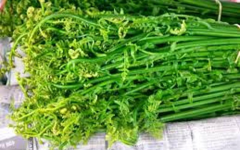 ঢেঁকীয়াৰ খাদ্যগুণ