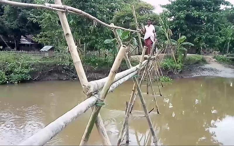 চৰকাৰৰ কৃপাদৃষ্টিৰ অপেক্ষাত ধলপুৰৰ এখন বাঁহৰ সাঁকো 