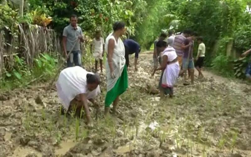 গাৰুখুন্দা পঞ্চায়তত পথ নিৰ্মাণত ব্যাপক অনিয়মৰ প্ৰতিবাদ