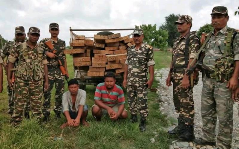 ওদালগুৰিৰ ভাৰত-ভূটান সীমান্তত চোৰাং কাঠসহ ধৃত দুই যুৱক