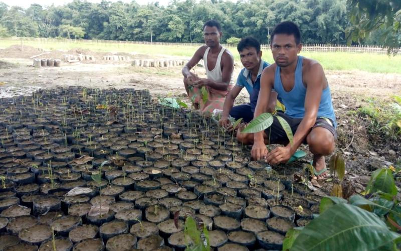 ডিৰাকৰ কেইজনমান প্ৰকৃতিপ্ৰমী যুৱকৰ প্ৰচেষ্টা আৰু ৰাইজৰ সপোন