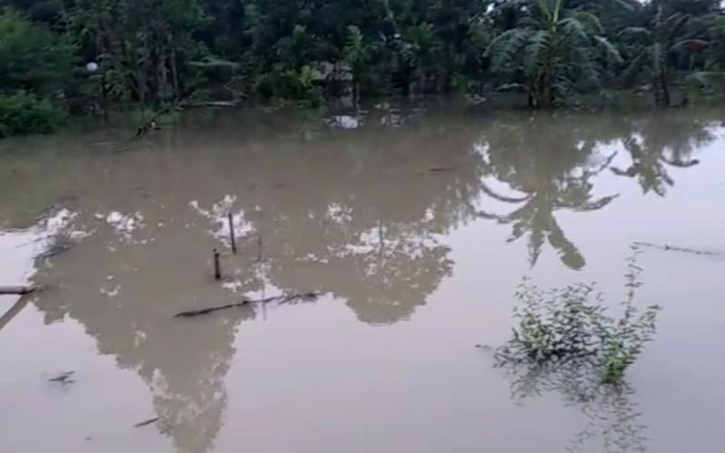 পাগলাদিয়া নদীৰ খহনীয়াত উছন বহু পৰিয়ালৰ ঘৰ-মাটি