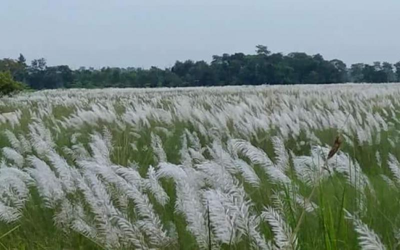 শৰতে আনে মাজুলীবাসীৰ মাজলৈ সৰল জীৱন গাঁথা 