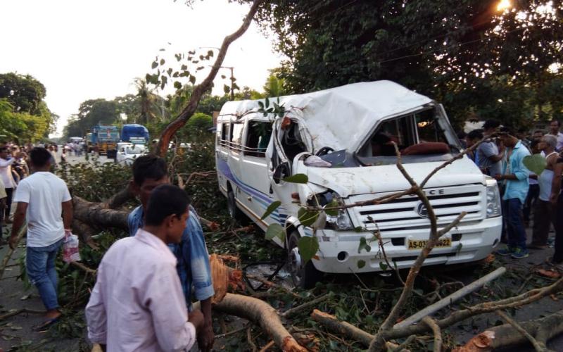 কলিয়াবৰত ট্ৰেভেলাৰৰ ওপৰত পৰিল গছৰ ডাল : ১জনৰ অৱস্থা সংকটজনক