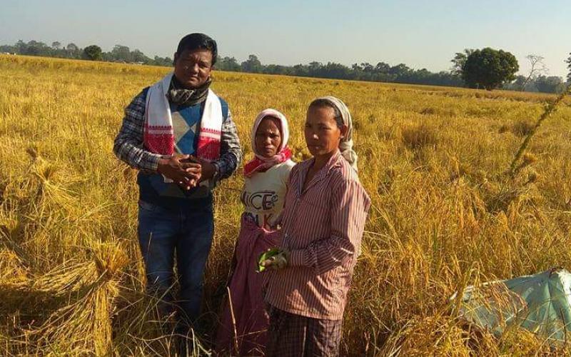 ভোটাৰৰ মন জয় কৰিবলৈ মাজুলীৰ ধাননি পথাৰত নিৰ্বাচনী প্ৰচাৰ