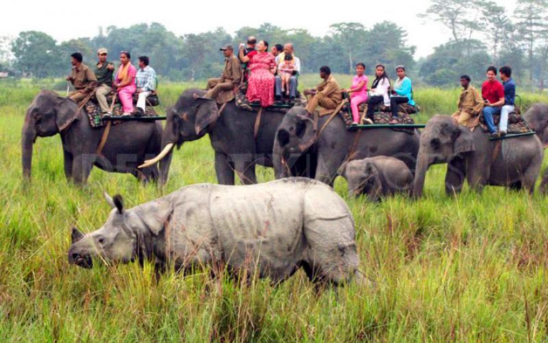 ২৮ নৱেম্বৰত কাজিৰঙাত বন্ধ থাকিব তী চাফাৰী