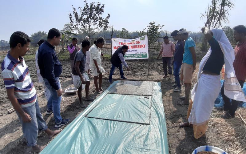 দৰঙত যান্ত্ৰিক পদ্ধতিৰে ধান ৰোপণৰ প্ৰৰ্দশনীমূলক খেতি