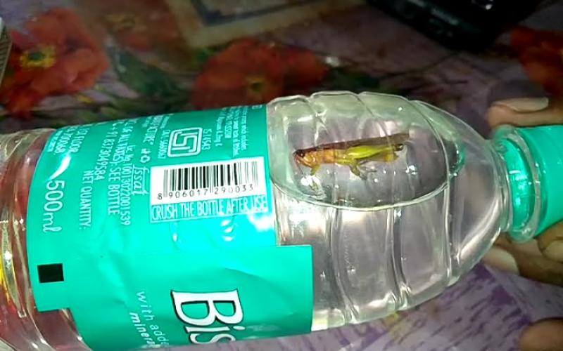 bisleri