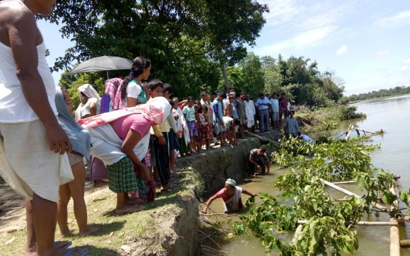 majuli