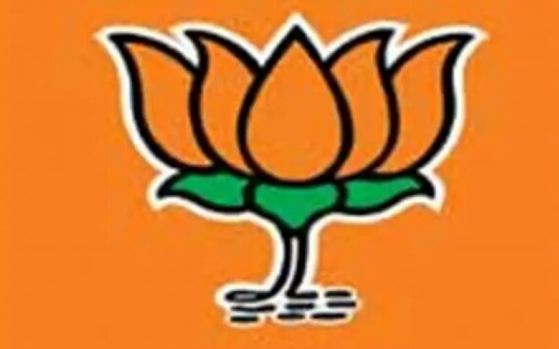 Bjp