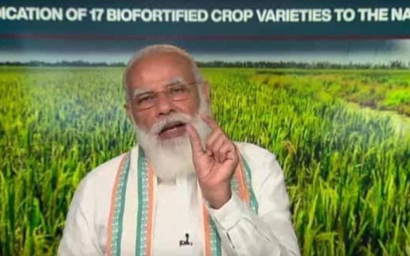 PM Modi