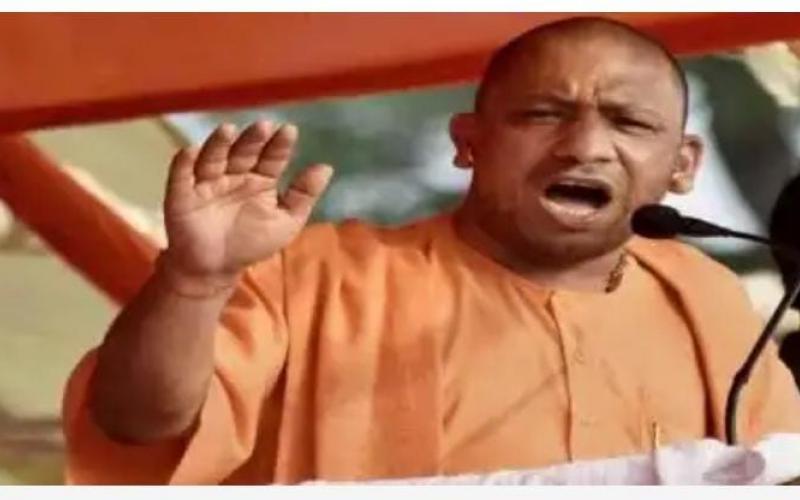 Yogi