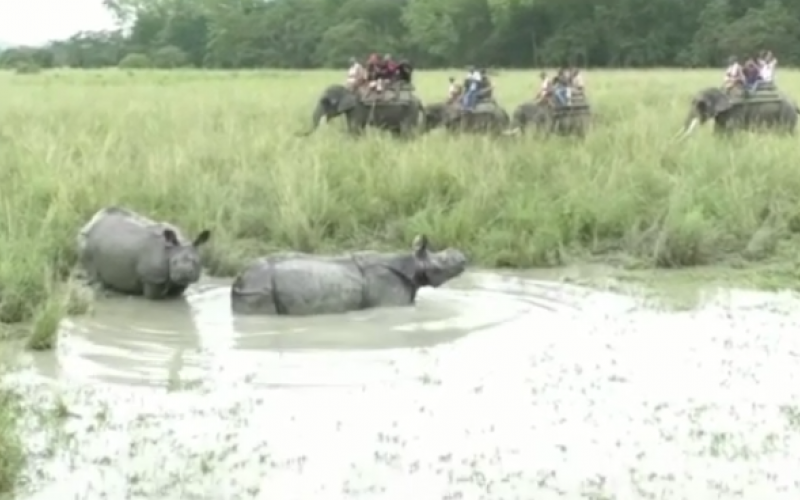 পবিতৰা