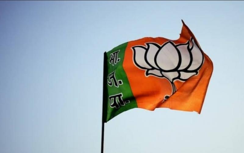 BJP flag