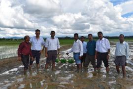 আন্তৰ্জাতিক ধান গৱেষণা প্ৰতিষ্ঠান আৰু অসম কৃষি বিশ্ববিদ্যালয়ৰ কৃষক প্ৰশিক্ষণ আৰু প্ৰযুক্তিৰ প্ৰদৰ্শন