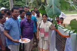 নগাঁৱত ৩টাকৈ গুৰুত্বপূৰ্ণ পথৰ আধাৰশিলা স্থাপন বিধায়িকা আঙুৰলতাৰ