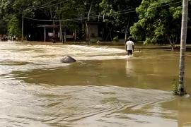  তামুলপুৰত আহিনৰ বানৰ সংহাৰ : উটুৱাই নিলে দলং