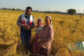 ভোটাৰৰ মন জয় কৰিবলৈ মাজুলীৰ ধাননি পথাৰত নিৰ্বাচনী প্ৰচাৰ