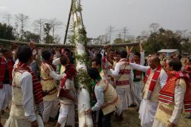 majuli