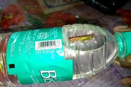 bisleri