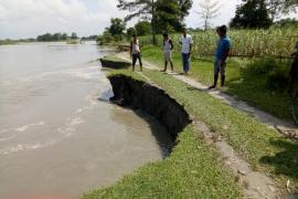 majuli