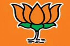 Bjp