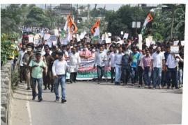 Congress protest