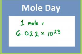 Mole Day