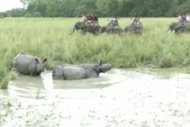 পবিতৰা