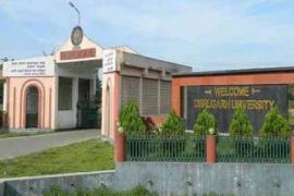 dibrugarh university